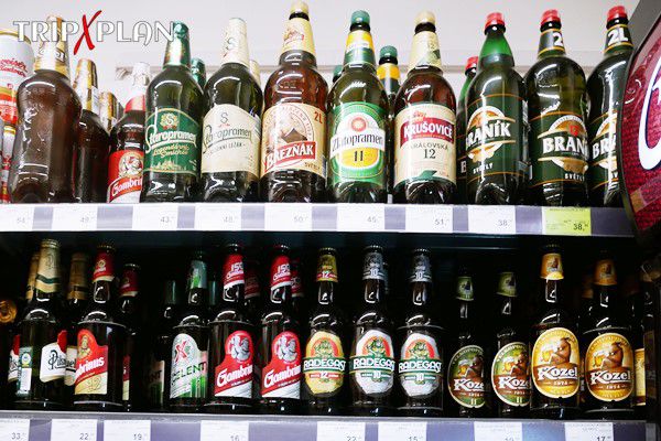 Czech Beer