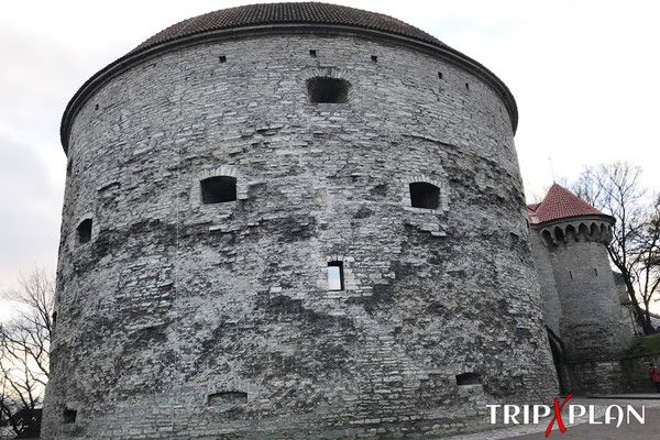 Fat Margaret Tower Fat Margaret Tower